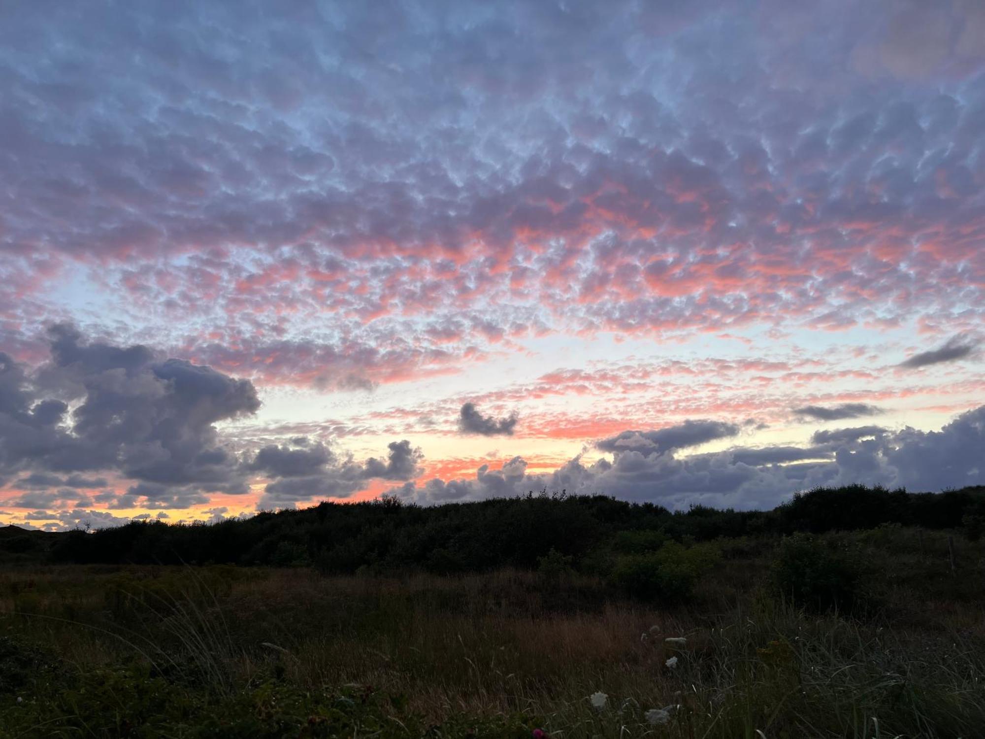 دي كوخ B&B In De Duinen المظهر الخارجي الصورة